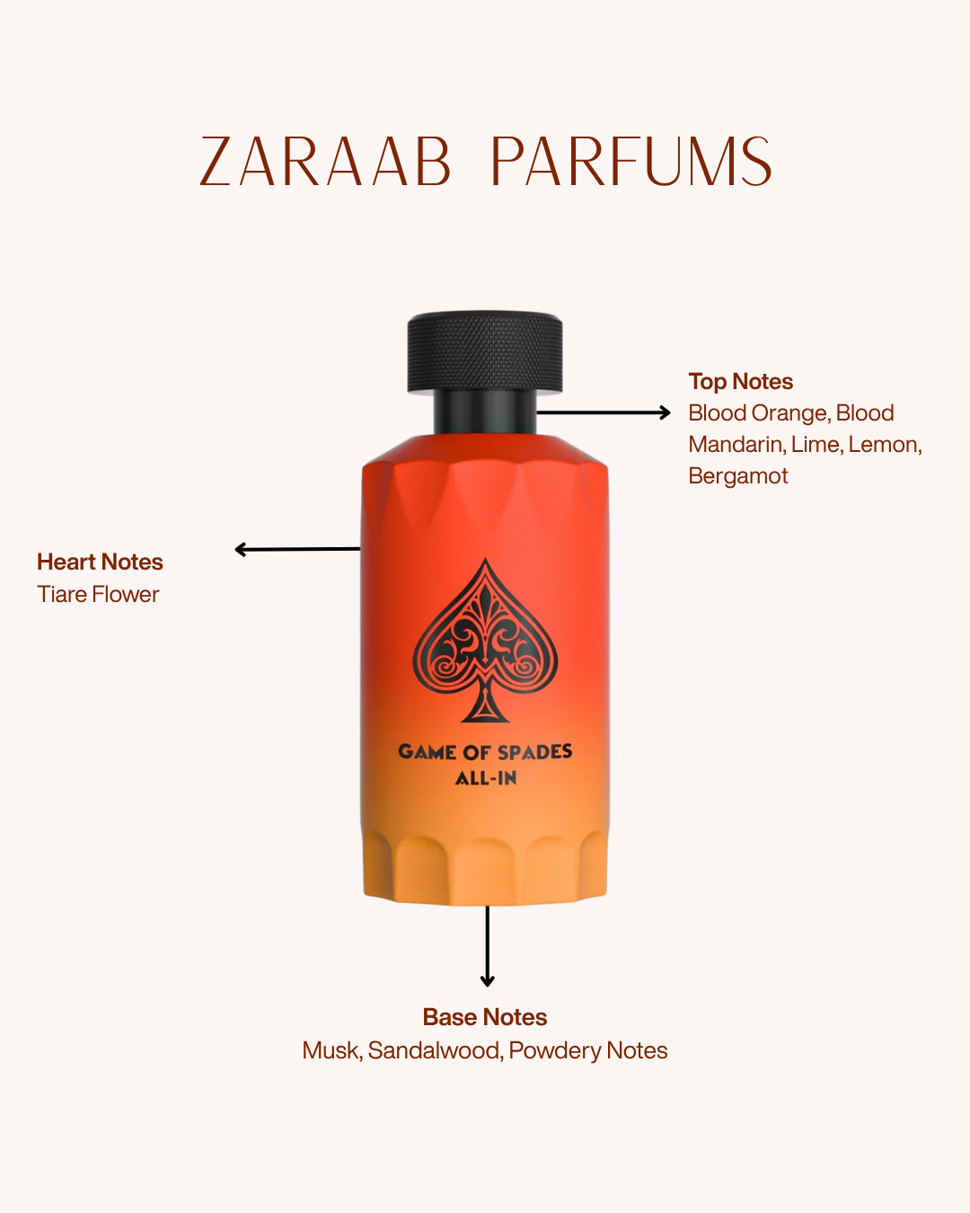 GAME OF SPADES ALL-IN 100 ml