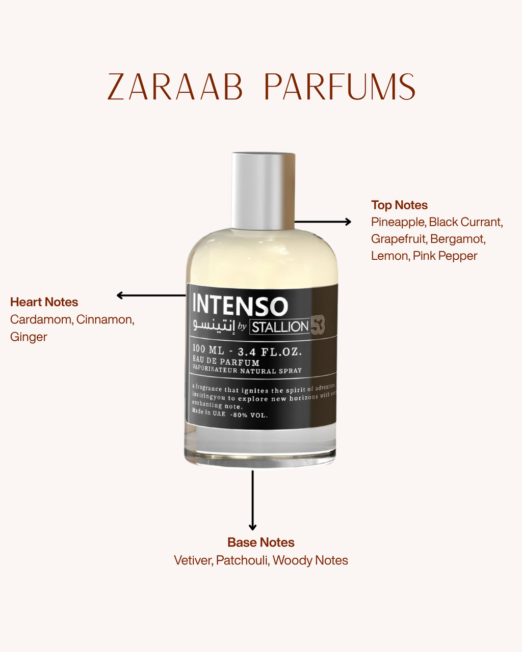INTENSO BY STALLION 53 100 ml