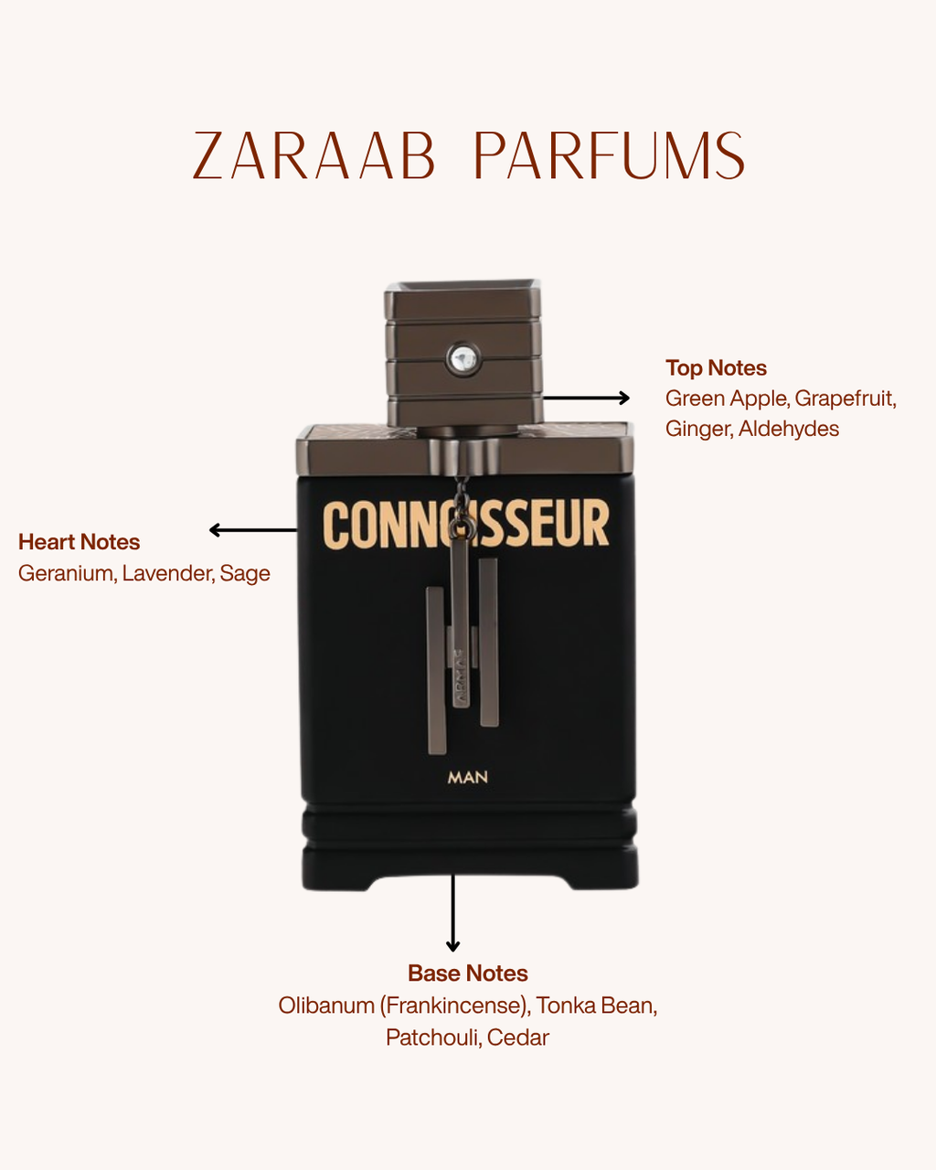 ARMAF CONNOISSEUR MAN 100 ML