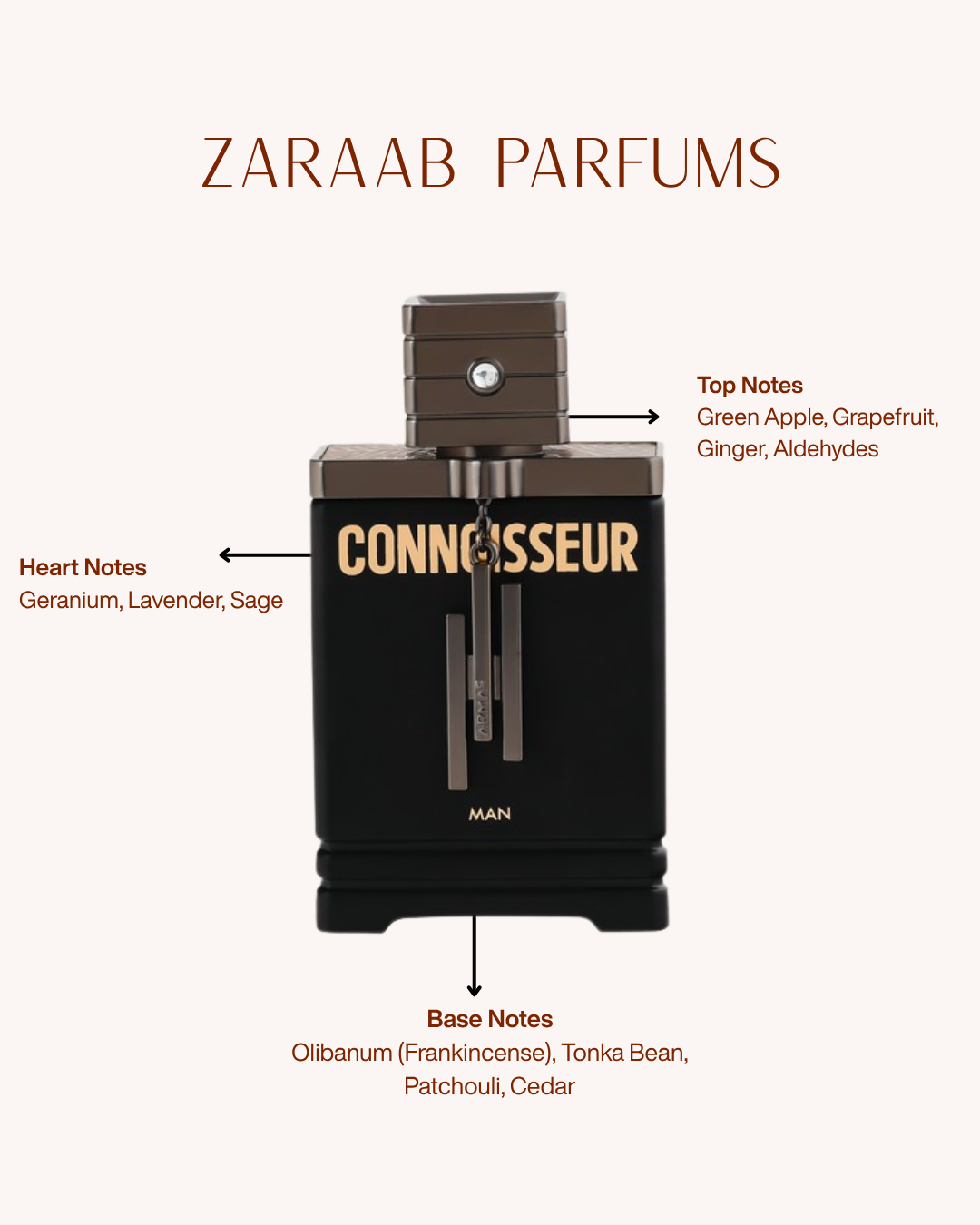 ARMAF CONNOISSEUR MAN 100 ML