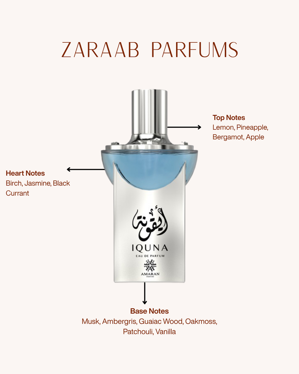 AMARAN EXCLUSIVE IQUNA 100 ML