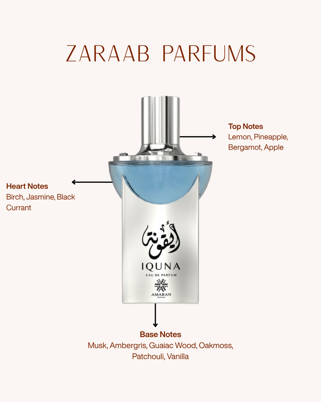 AMARAN EXCLUSIVE IQUNA 100 ML