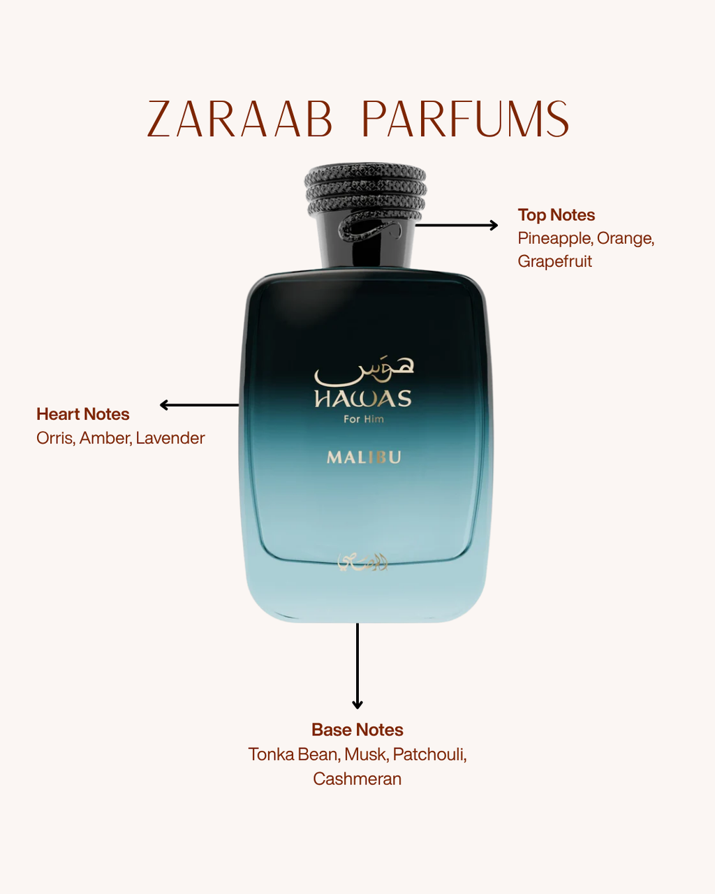 RASASI HAWAS FOR HIM MALIBU 100 ml