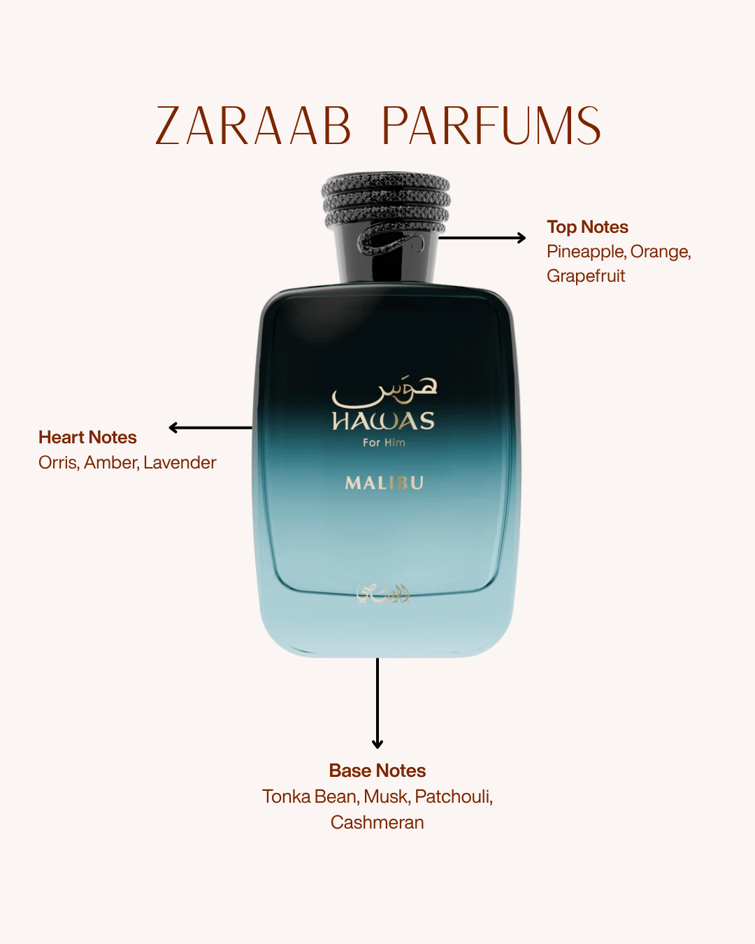 RASASI HAWAS FOR HIM MALIBU 100 ml