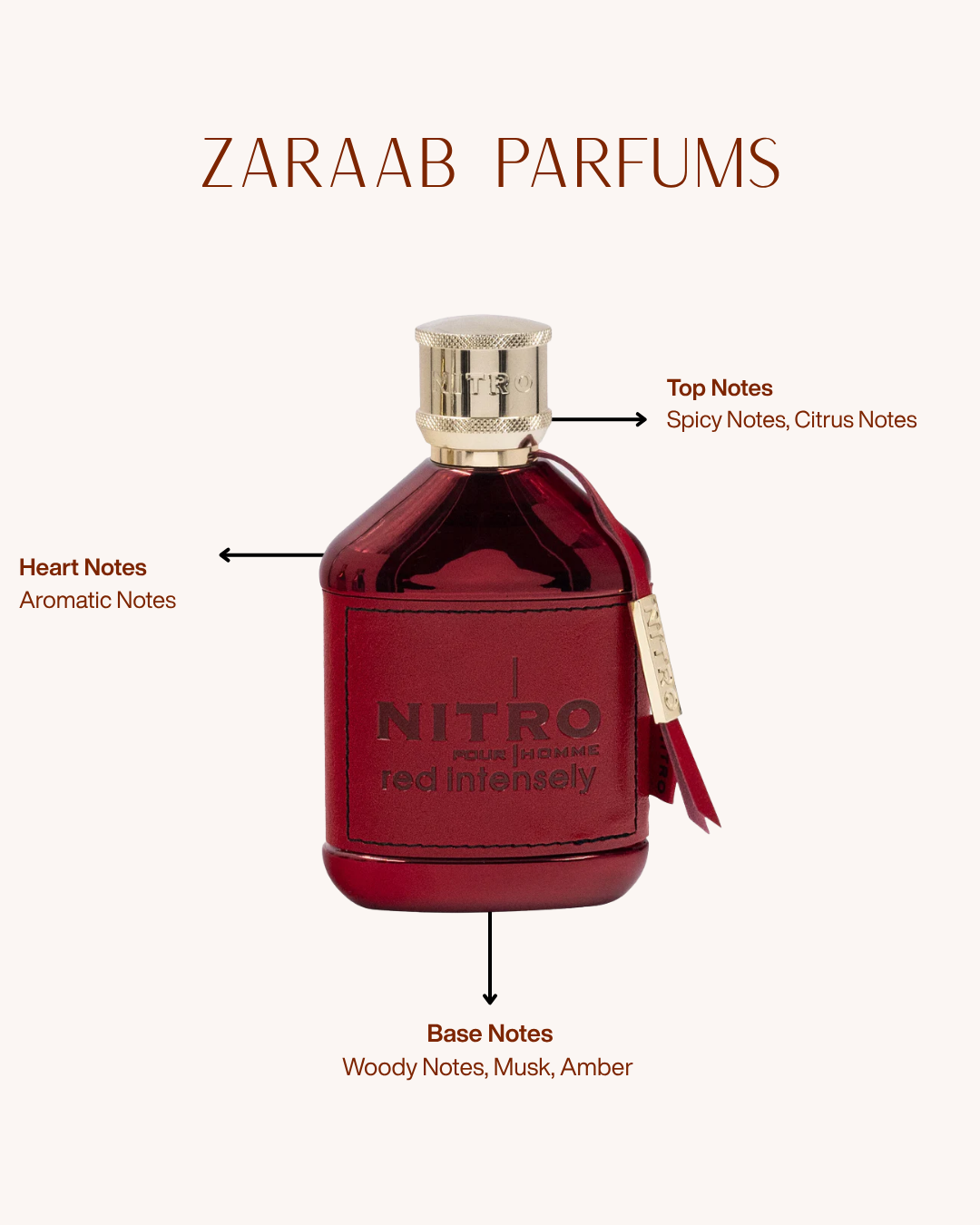 DUMONT NITRO RED INTENSELY 100 ML