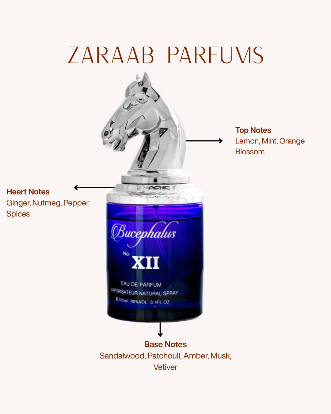 ARMAF BUCEPHALUS XII 100 ml