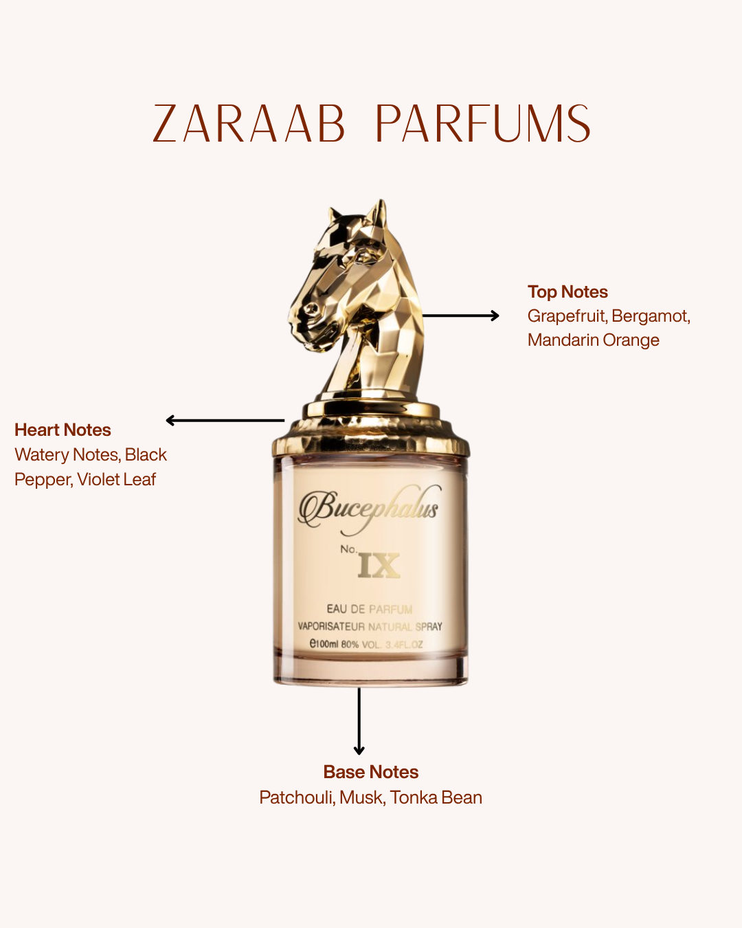 ARMAF BUCEPHALUS IX 100 ml