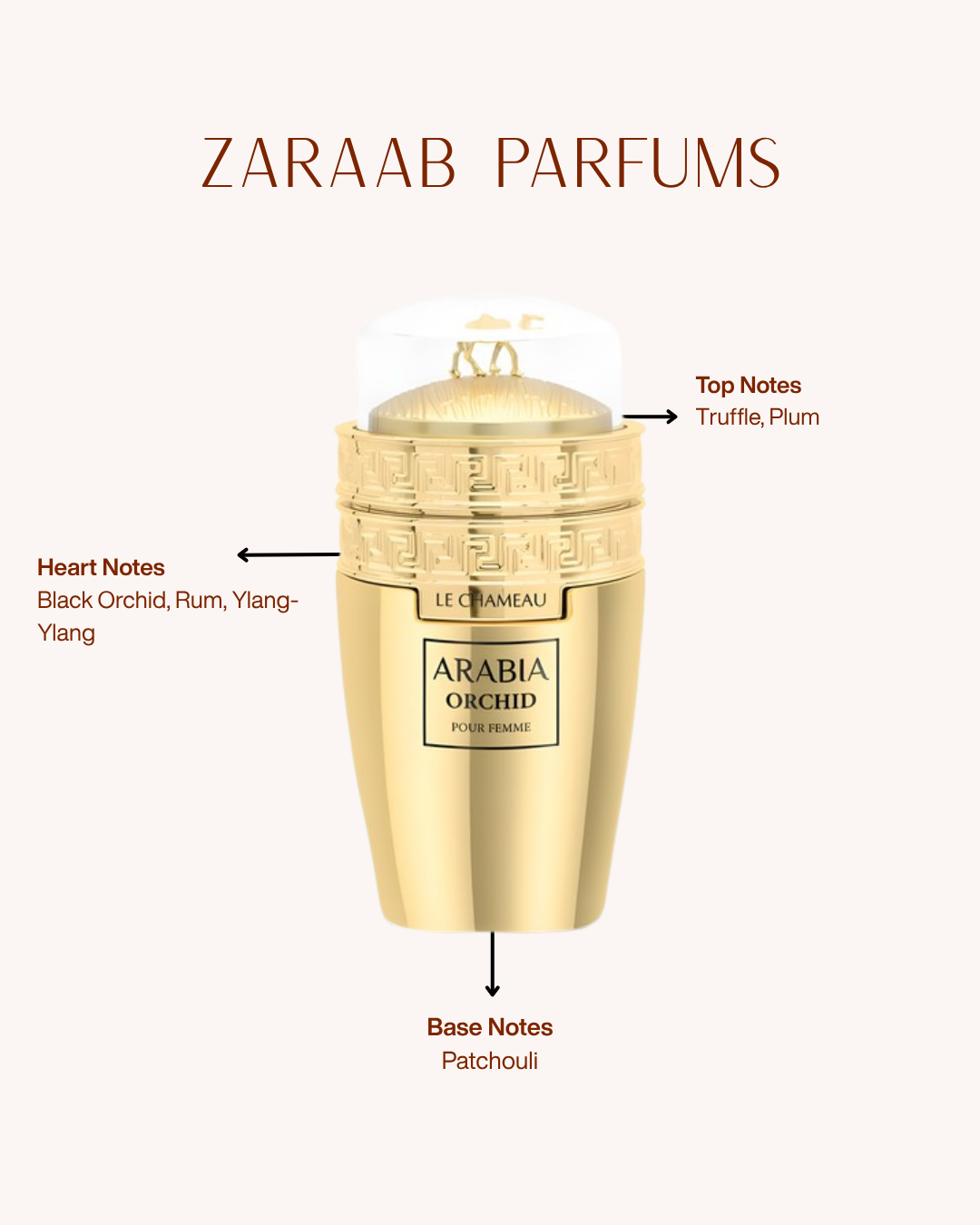 LE CHAMEAU ARABIA ORCHID 100 ML