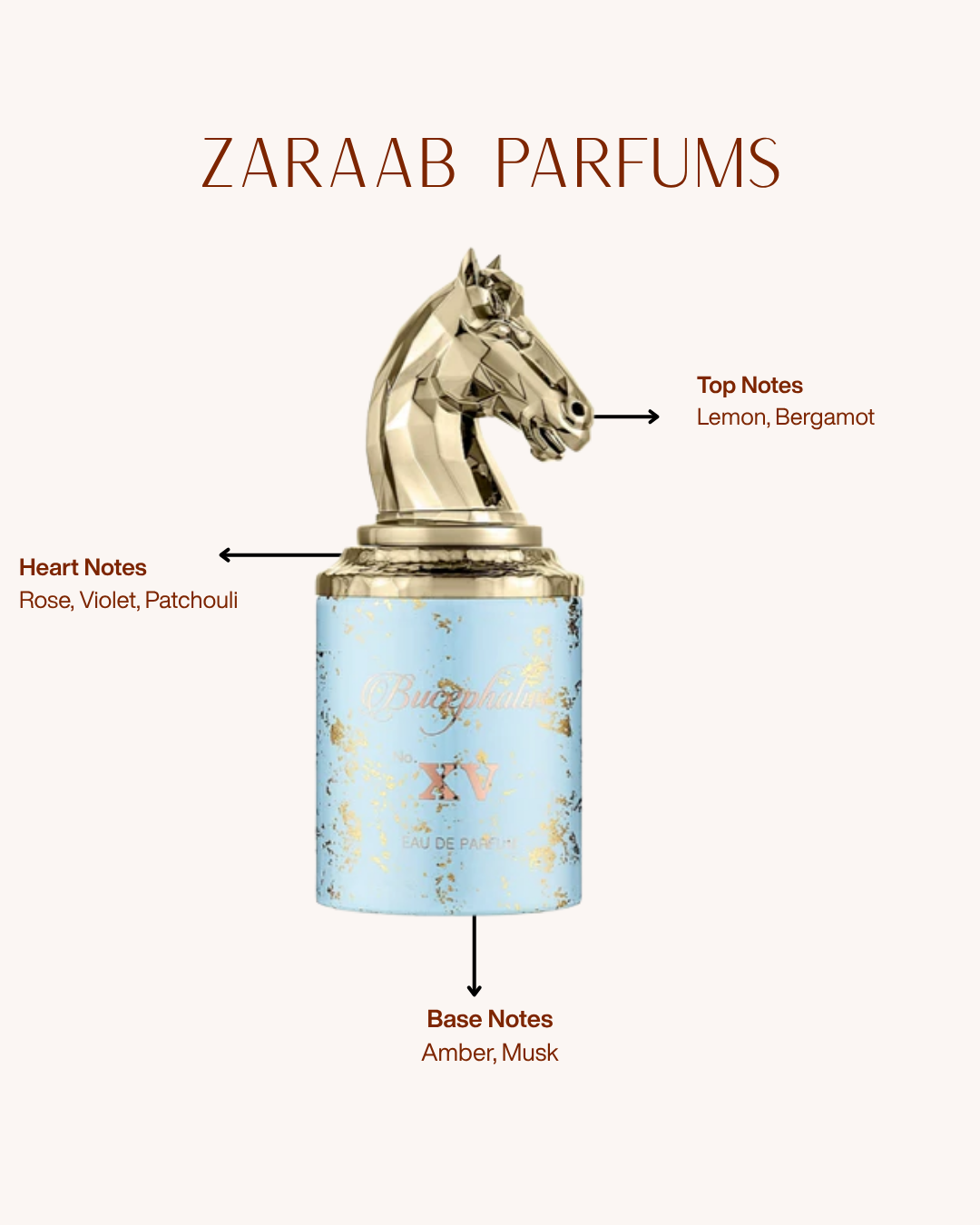 ARMAF BUCEPHALUS XV 100ml