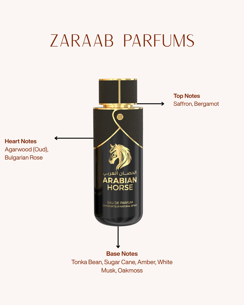 EMPER ARABIAN HORSE 100 ML