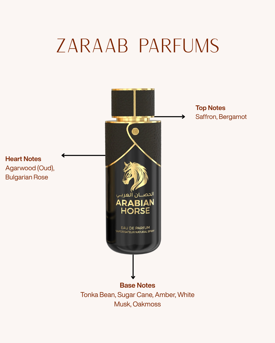 EMPER ARABIAN HORSE 100 ML