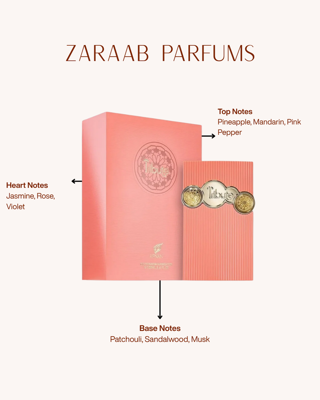 AFNAN TRIBUTE WOMEN 100 ML