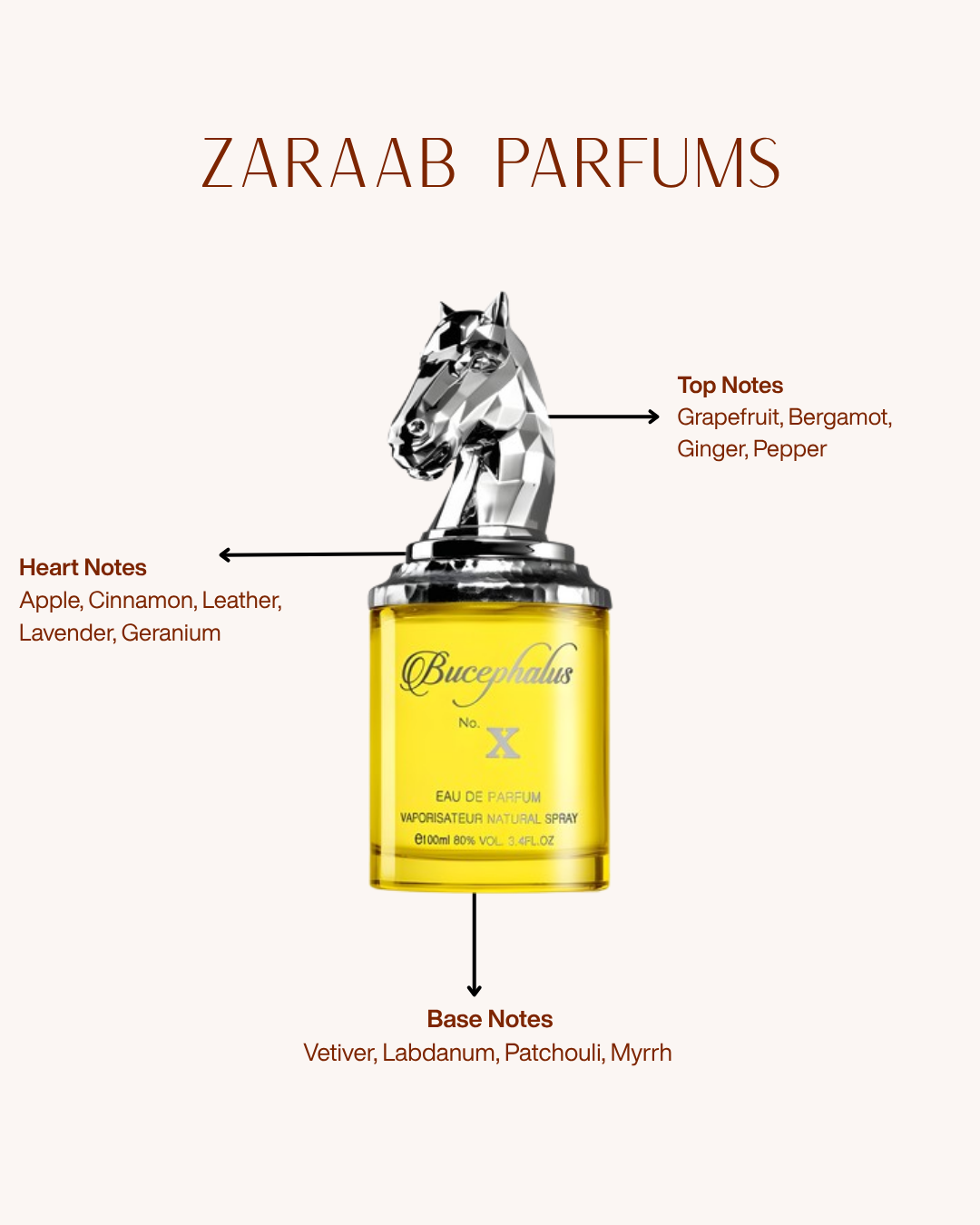 ARMAF BUCEPHALUS No X 100 ML